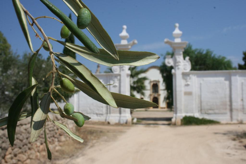 Masseria Maccarone Fasano Exterior foto